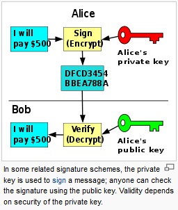 rsa encryption system