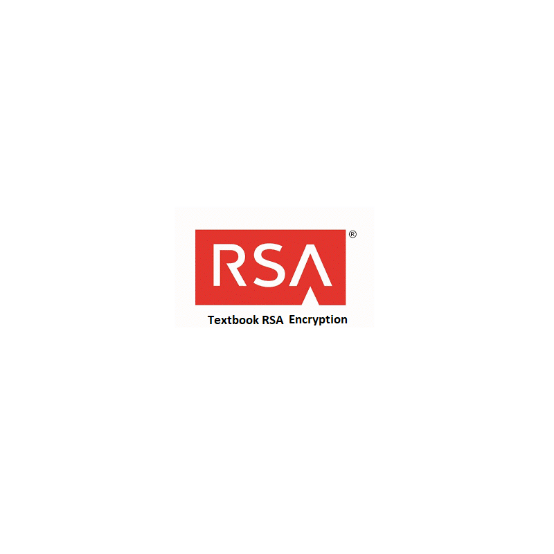 rsa encryption system
